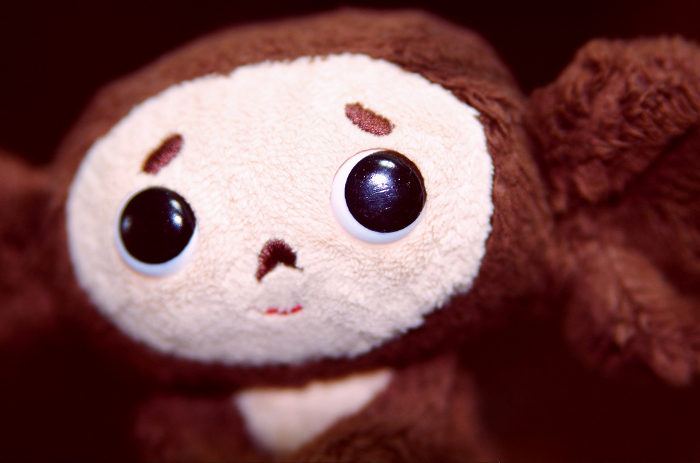 Cheburashka close up